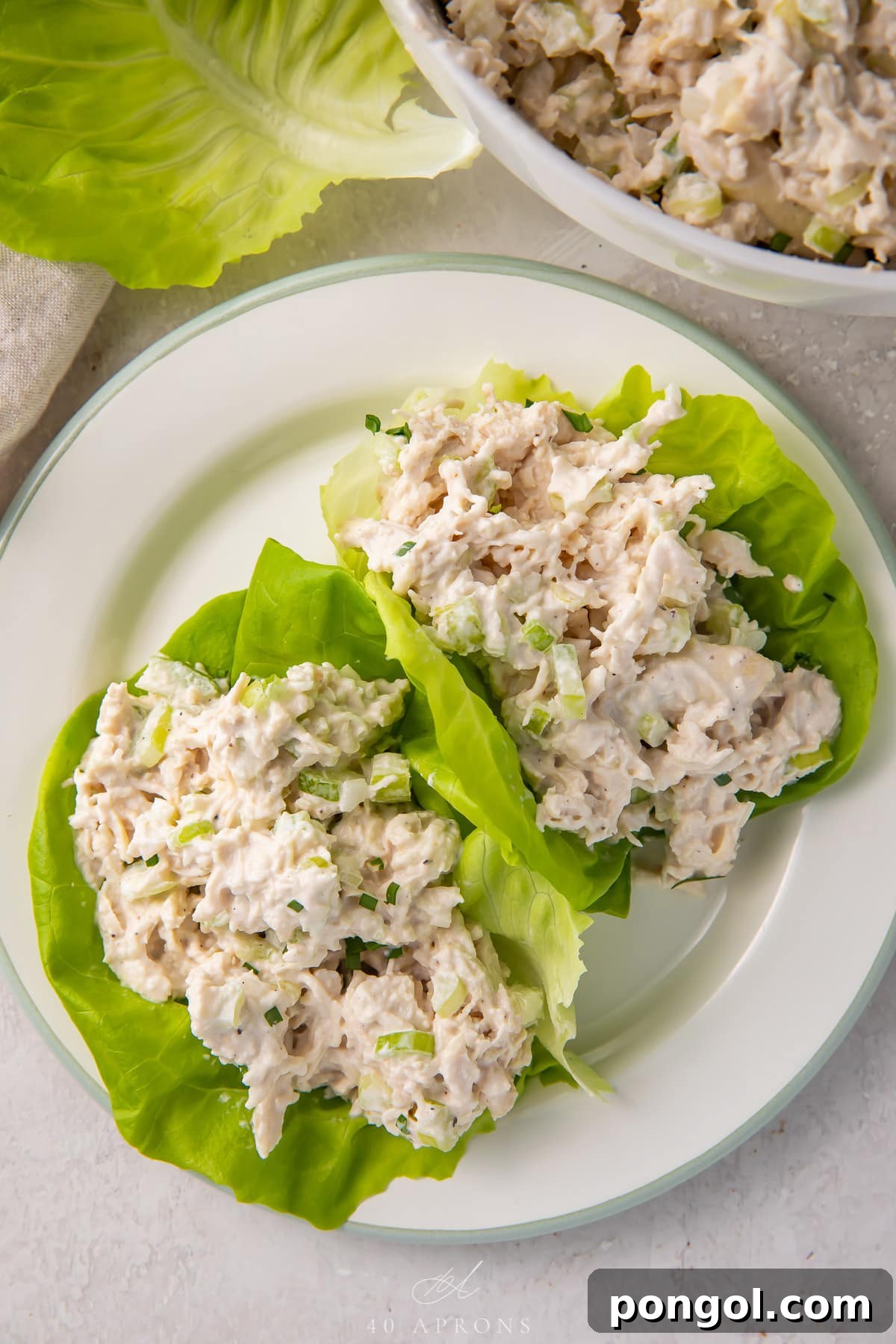 Keto chicken salad in lettuce wraps on a plate next to a bowl of chicken salad.