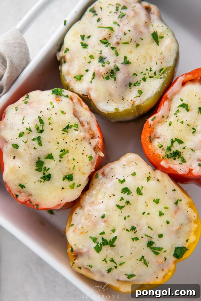 Overhead angle of Instant Pot stuffed peppers in a white tray