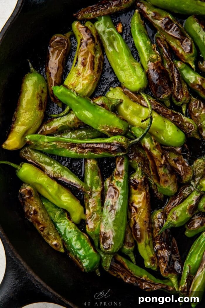 Charred Shishito Peppers with Zesty Lemon Garlic Dip 4 Blistered shishito peppers in a large cast iron skillet
