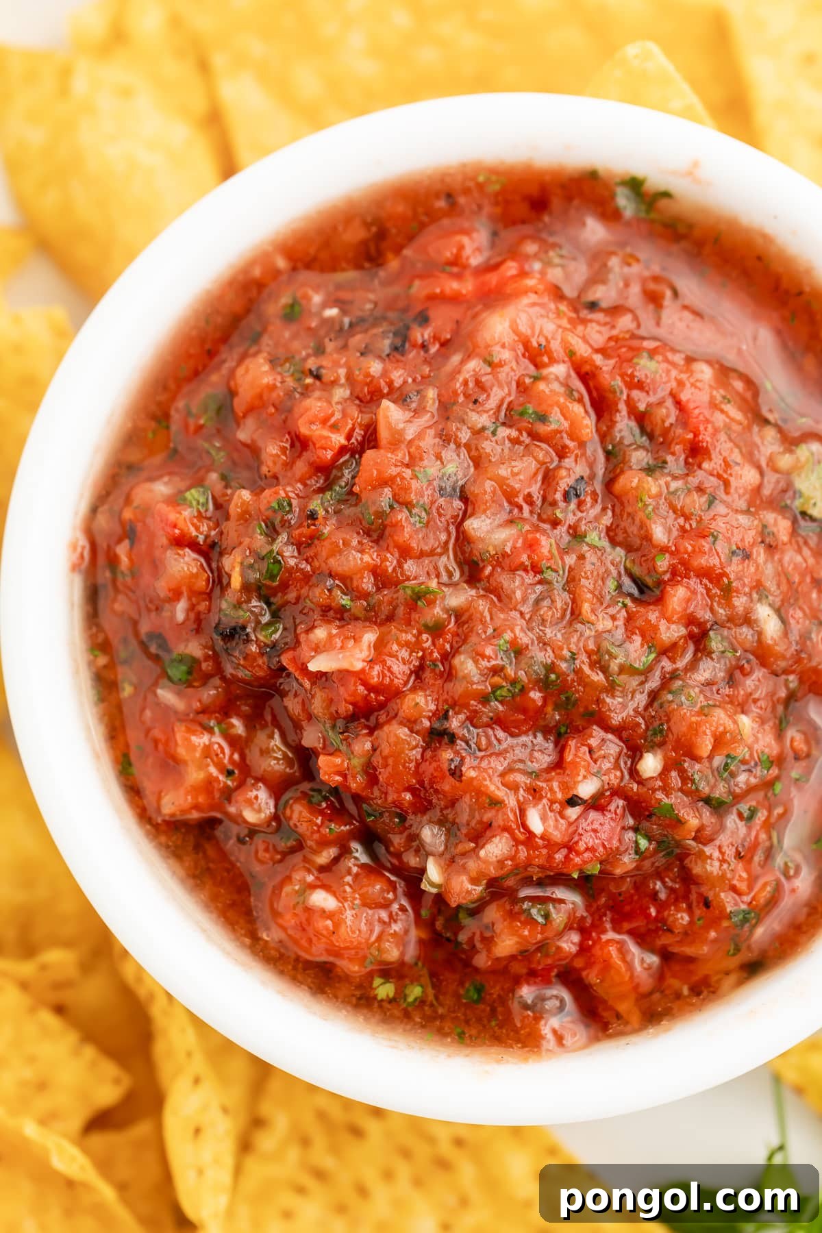 The Ultimate Homemade Restaurant Salsa 2 A bowl of deep red, slightly chunky restaurant-style salsa in a white bowl, surrounded by crispy tortilla chips, viewed from above.