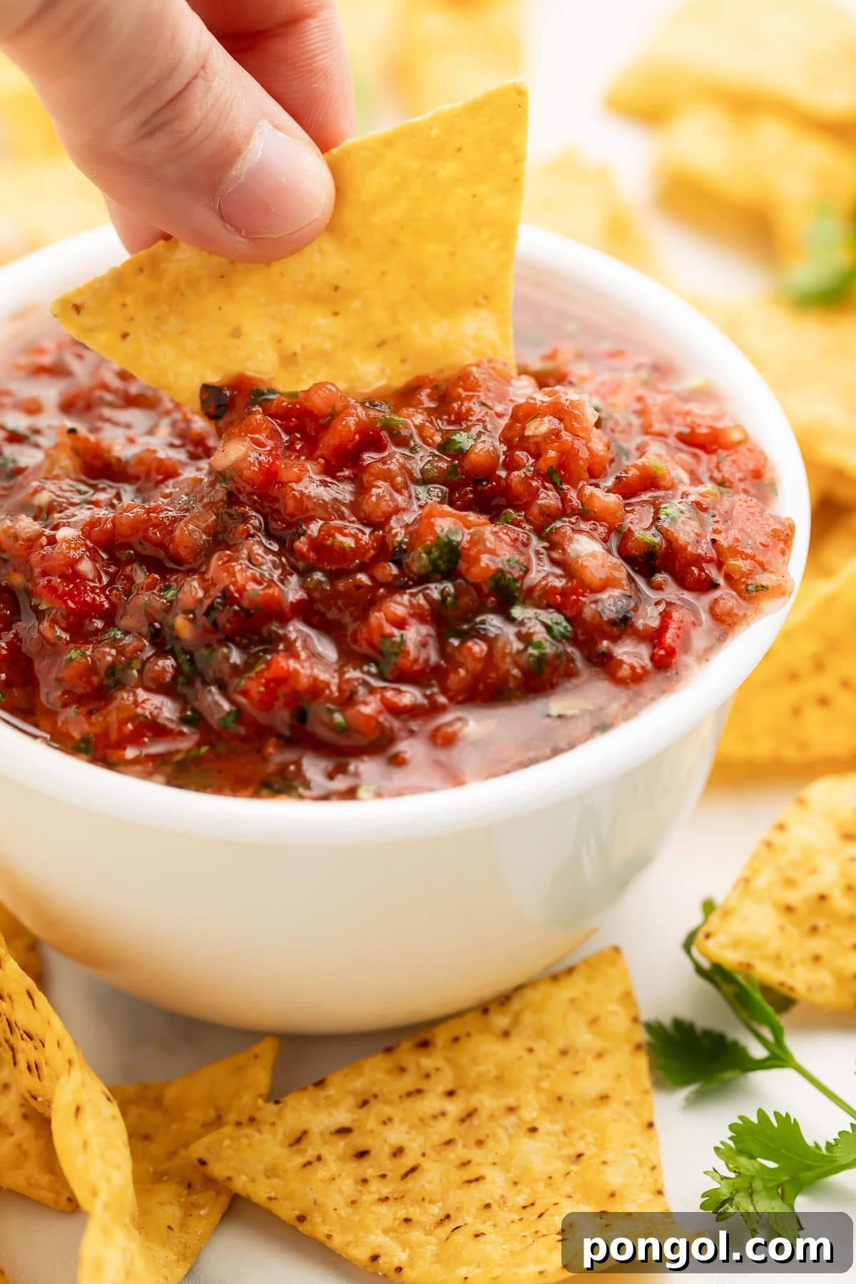The Ultimate Homemade Restaurant Salsa 3 A white woman's hand holding a tortilla chip and using it to scoop red, chunky salsa out of a white bowl.