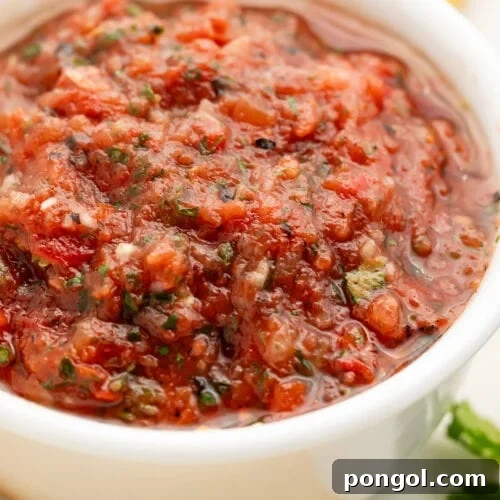 A white bowl holding deep red. smooth and slightly chunky salsa surrounded by tortilla chips.