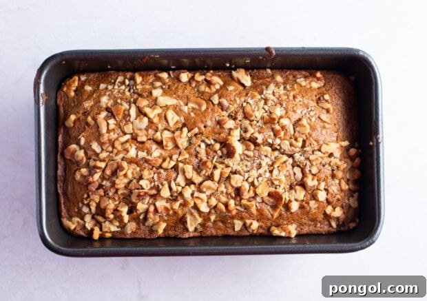 Baked gluten free zucchini bread in loaf pan