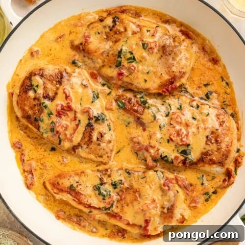 Tender chicken breasts covered in rich cream sauce with herbs and tomatoes
