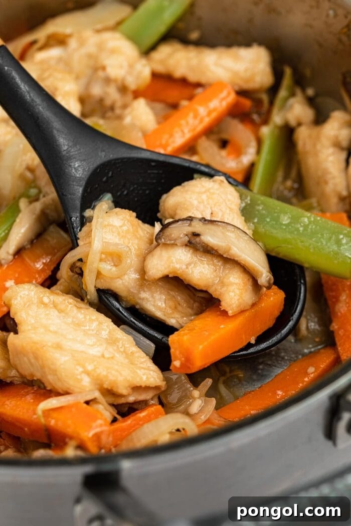 A vibrant pan of chicken chop suey, brimming with colorful vegetables and tender chicken, ready to be served.