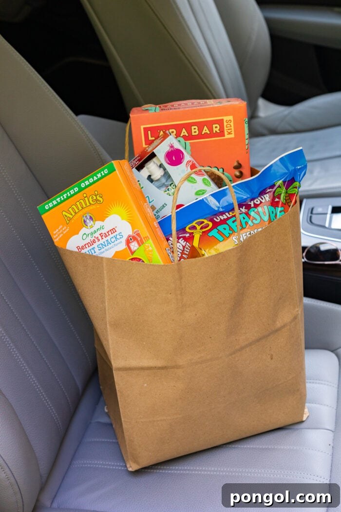 Bag of road trip snacks in a car seat, including various individually packaged items