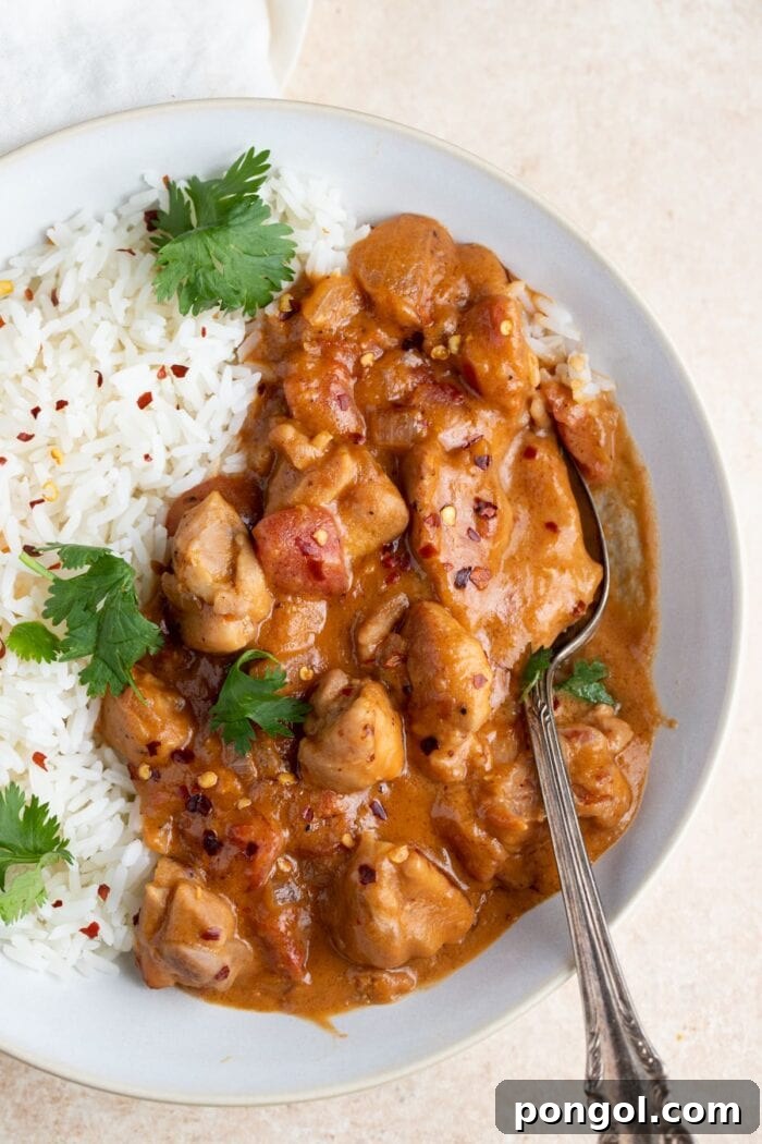 Rich and Creamy Peanut Chicken 2 Overhead angle of peanut butter chicken and rice in a white bowl with a spoon