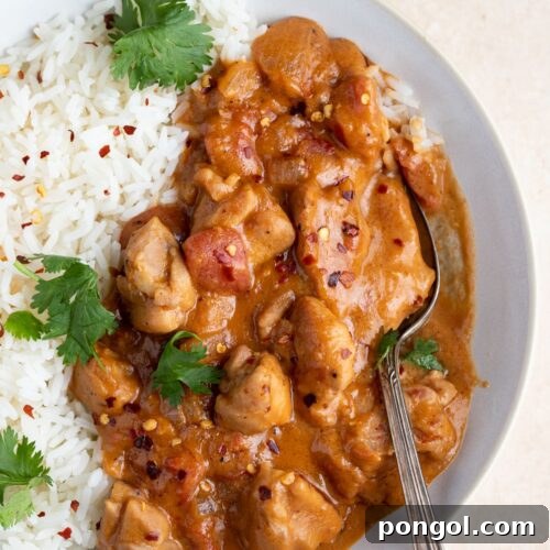 Rich and Creamy Peanut Chicken 4 Overhead angle of peanut butter chicken and rice in a white bowl with a spoon
