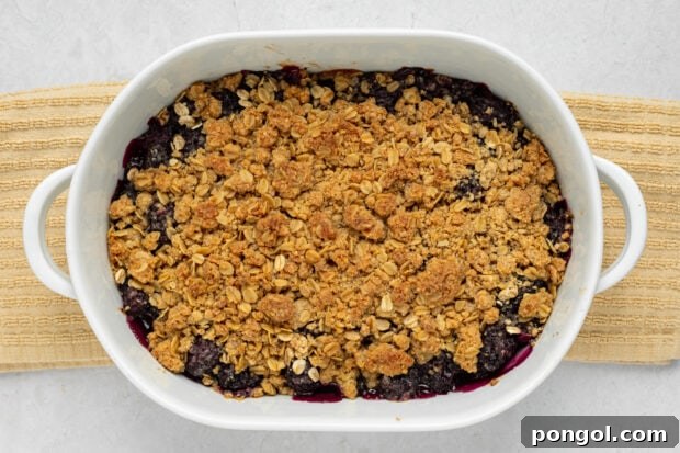 Baked blackberry crumble, golden brown and bubbling