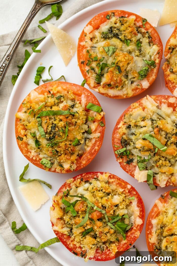 Four beautifully stuffed tomatoes on a white plate, garnished with fresh basil and a sprinkle of Parmesan cheese