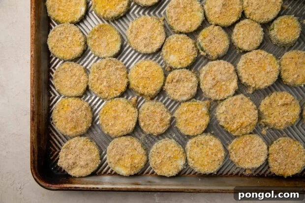 Crispy Zucchini Fries with Zesty Dips 8 Coated zucchini discs on a baking sheet