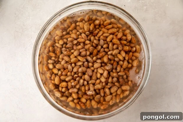 Smoky Rancher's Beans 5 Beans soaked in large bowl