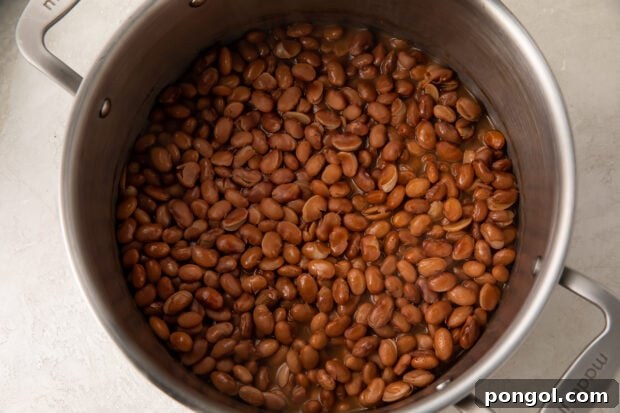 Smoky Rancher's Beans 6 Pinto beans in large pot