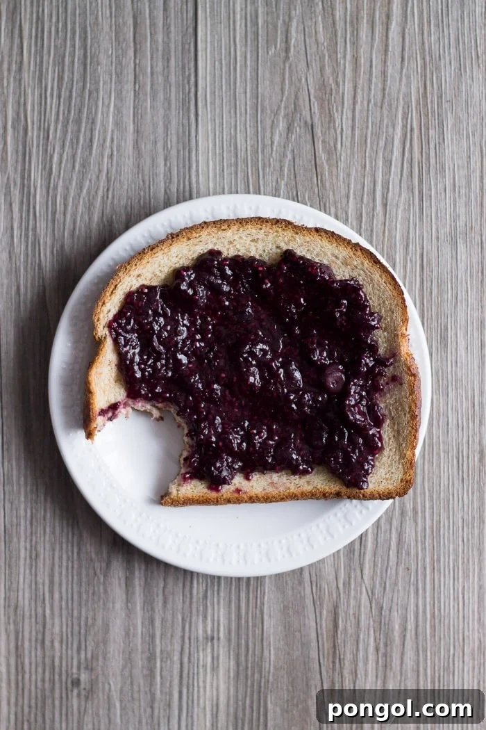 Close-up of blueberry chia jam, showcasing its rich texture and natural ingredients, highlighting its superfood benefits.