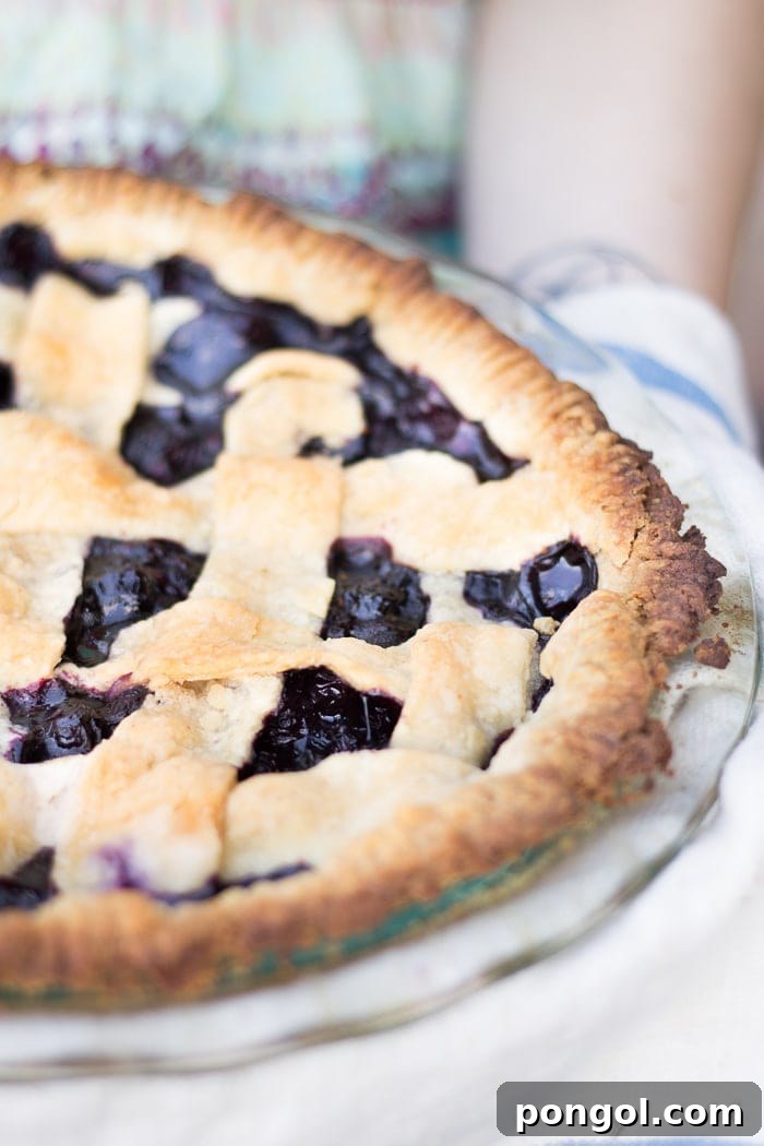 Vegan Blueberry Pie cooling on a wire rack, ready to be served.