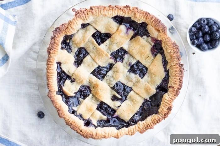 A slice of vegan blueberry pie, revealing the rich, sapphire-like filling.