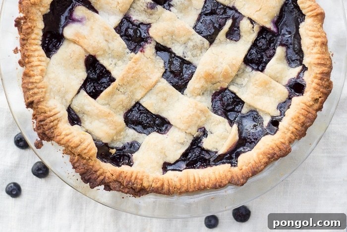 The lattice top of a baked vegan blueberry pie, glistening with a slight sheen.