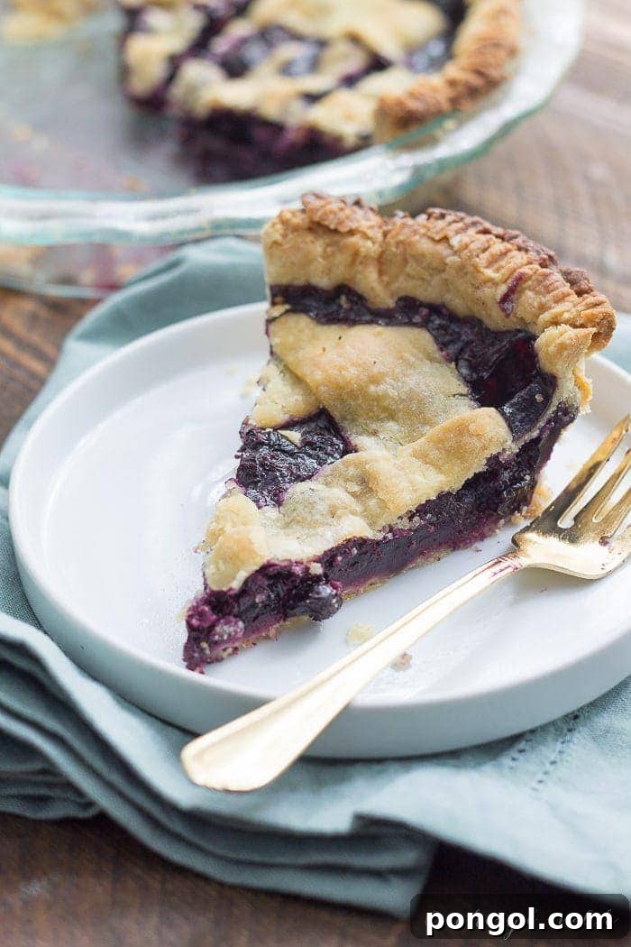 A beautifully crafted vegan blueberry pie, showcasing a perfect golden crust and juicy filling.