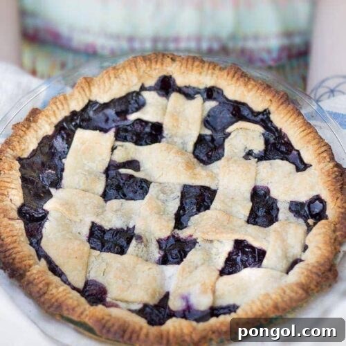 Classic Vegan Blueberry Pie with a gorgeous lattice top.