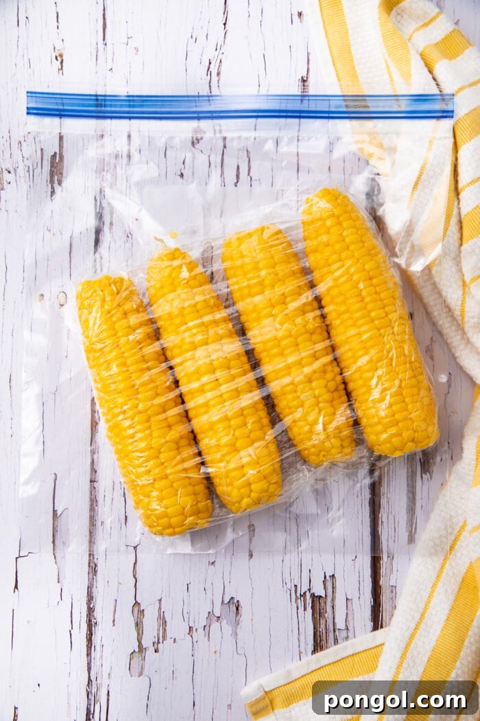 Ears of corn, neatly arranged in a freezer bag for efficient storage.
