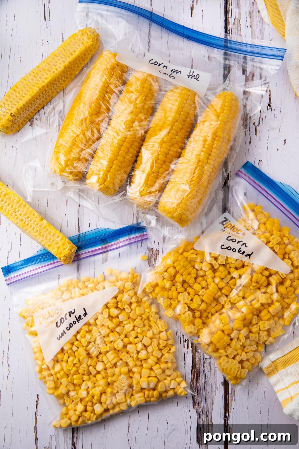 Three zippered bags of corn, meticulously prepared and labeled, stacked for freezing.