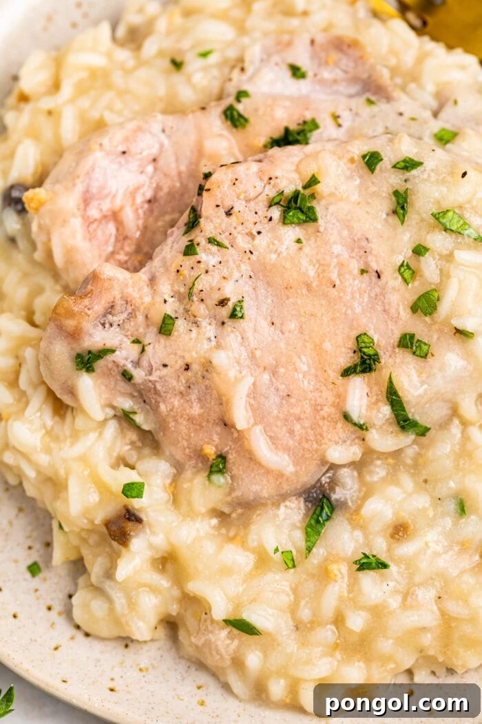 Pork chops and rice in a large bowl, ready to be served