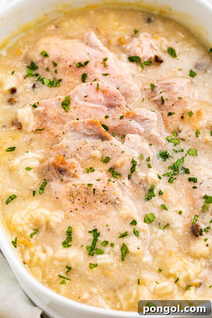 Baked pork chops and rice casserole in a dish, ready to be served