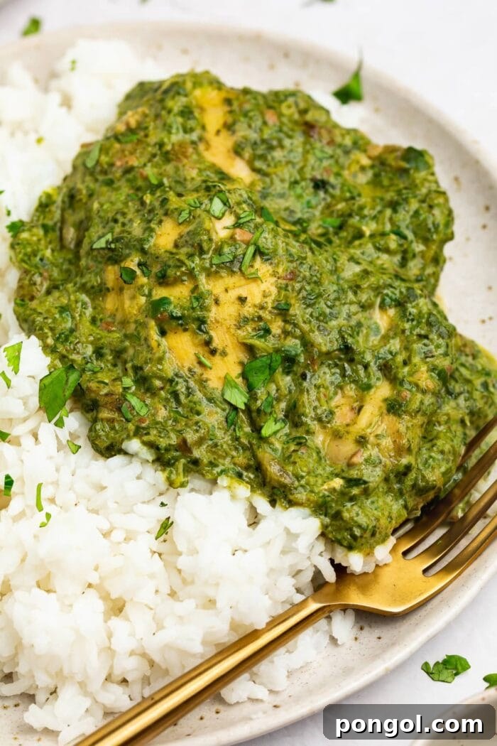 Emerald Saag Chicken 2 chicken saag on a plate with rice and a fork