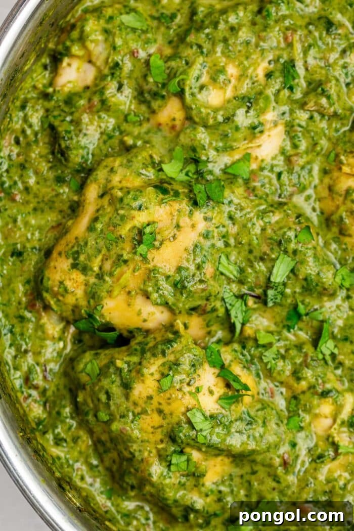 Emerald Saag Chicken 3 chicken saag in a skillet with fresh cilantro on top