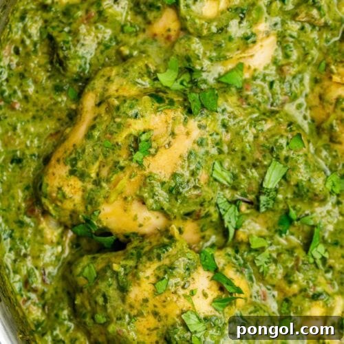 chicken saag in a skillet with fresh cilantro on top