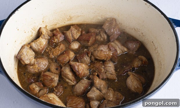 Pork adobo in adobo sauce ingredients