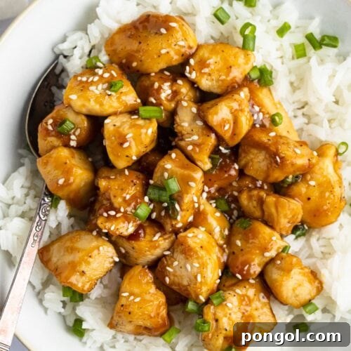Mandarin chicken with rice in large bowl - A full bowl of glistening mandarin chicken and rice.