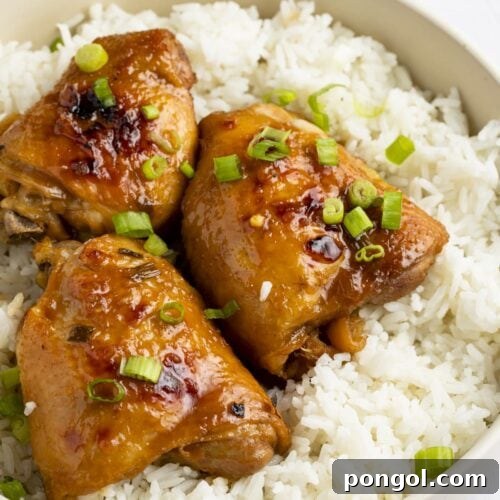 Shoyu chicken thighs on a bed of white rice, garnished with green onions
