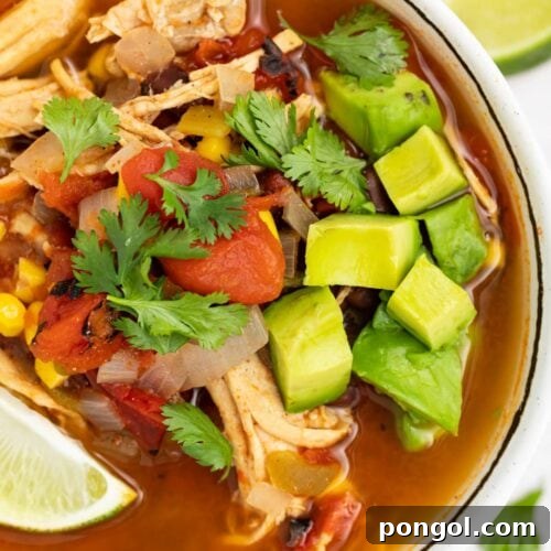 overhead image of mexican soup in a bowl with avocado, cilantro, and a lime wedge on top