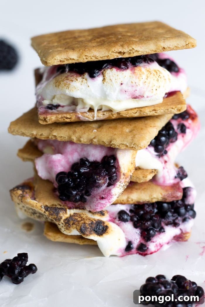 Blackberry white chocolate smores are the ultimate summer treat. Ripe blackberries, melty white chocolate, toasted marshmallow, & buttery graham crackers. 