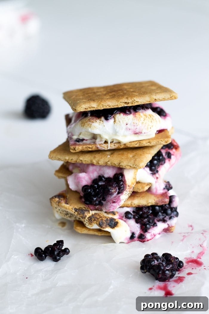 Blackberry white chocolate smores are the ultimate summer treat. Ripe blackberries, melty white chocolate, toasted marshmallow, & buttery graham crackers. 