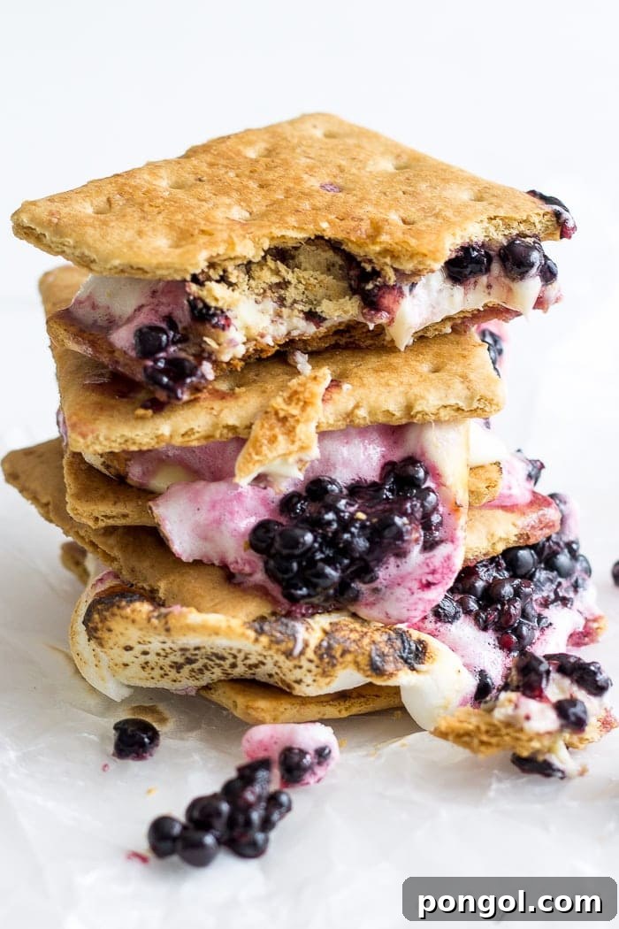 Blackberry white chocolate smores are the ultimate summer treat. Ripe blackberries, melty white chocolate, toasted marshmallow, & buttery graham crackers. 