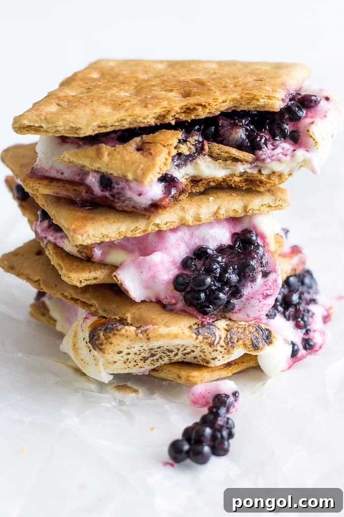 Blackberry white chocolate smores are the ultimate summer treat. Ripe blackberries, melty white chocolate, toasted marshmallow, & buttery graham crackers. 