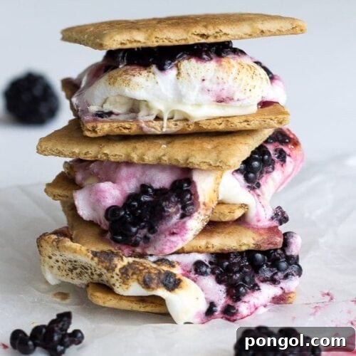 Blackberry white chocolate smores are the ultimate summer treat. Ripe blackberries, melty white chocolate, toasted marshmallow, & buttery graham crackers.