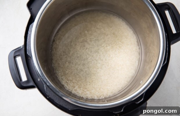 Uncooked jasmine rice and water in Instant Pot