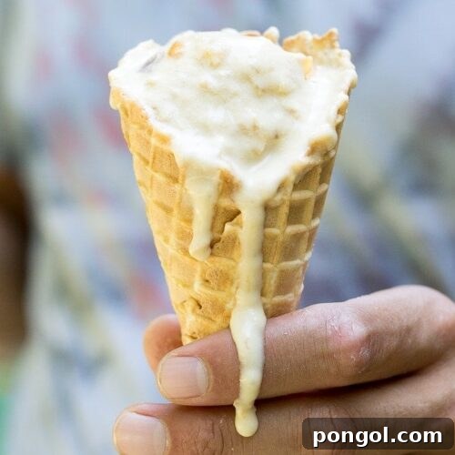 Vegan Peach Ice Cream