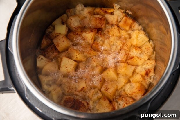 Instant Pot applesauce in Instant Pot