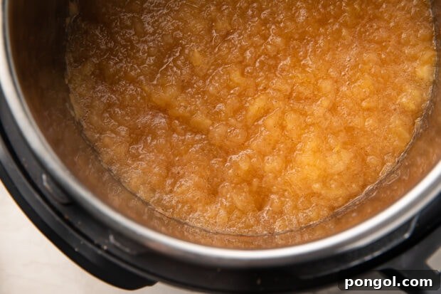 Mashed applesauce in Instant Pot