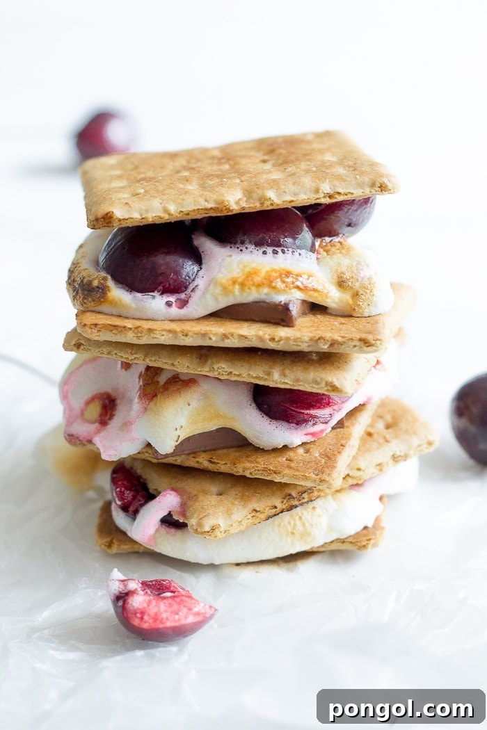 Indulgent Dark Chocolate Cherry S'mores: a gourmet s'mores featuring rich dark chocolate and fresh ripe cherries, perfect for an elevated dessert experience.