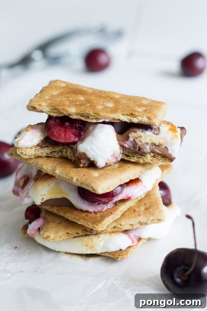 A delicious Dark Chocolate Cherry S'more ready to be served, highlighting the golden marshmallow and fresh cherry halves.