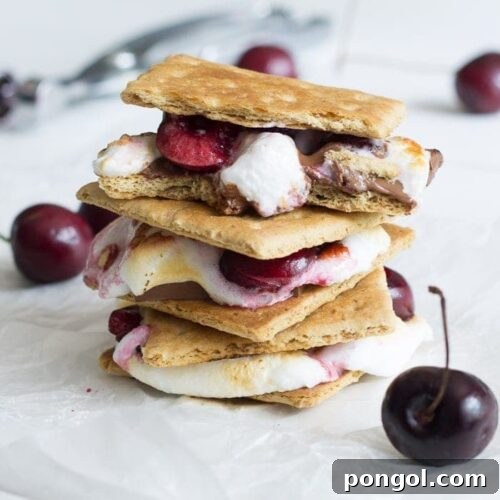 A beautifully plated Dark Chocolate Cherry S'more, showcasing all its delectable layers.