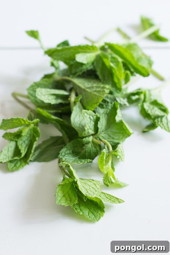 Creamy and frothy Mango Mojito Smoothie with fresh mint leaves.