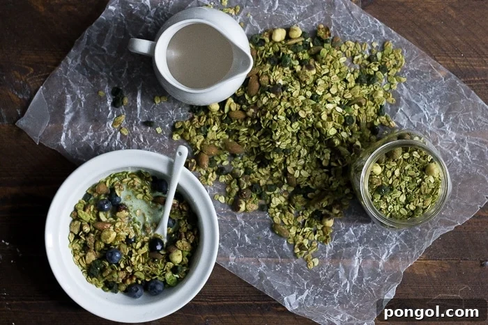 Matcha granola with dried blueberries. All of the goodness of matcha powder tossed with a delish granola. Perfect snack or breakfast--tons of antioxidants! Vegan