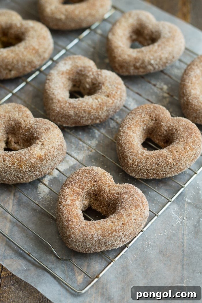 Plant-Based Baked Apple Cider Donuts with Pomegranate Glaze 3 Close-up of a stack of Baked Apple Cider Donuts, showcasing their moist texture and beautiful glaze