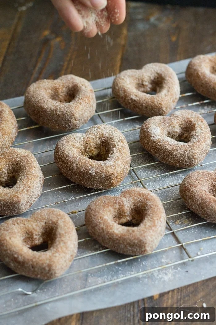 Plant-Based Baked Apple Cider Donuts with Pomegranate Glaze 4 Heart-shaped Baked Apple Cider Donuts, drizzled with pomegranate glaze and cinnamon sugar